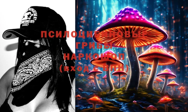 крисы Балахна