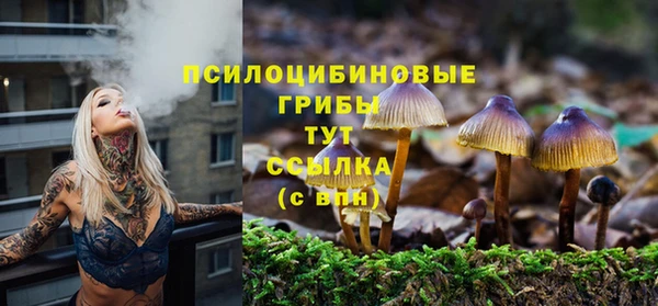 МДПВ Балабаново