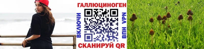 Псилоцибиновые грибы Psilocybine cubensis  наркота  Хадыженск 